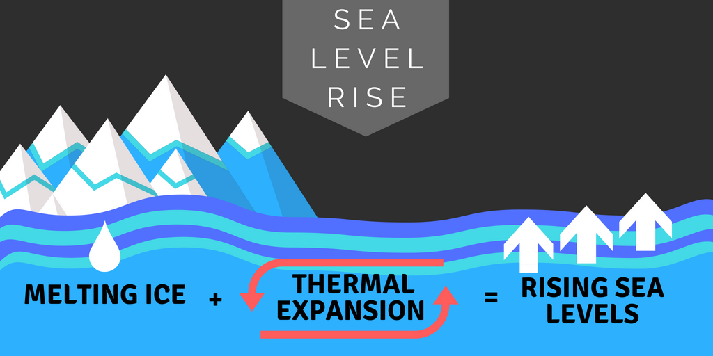 sea-level-rise-city-of-hayward-official-website